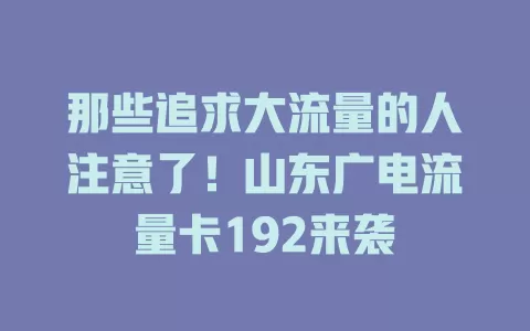 那些追求大流量的人注意了！山东广电流量卡192来袭