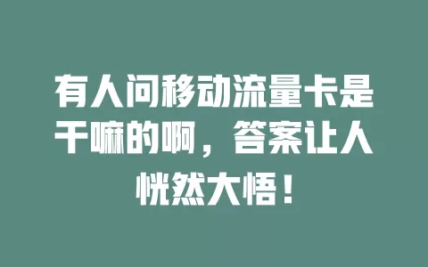 有人问移动流量卡是干嘛的啊，答案让人恍然大悟！