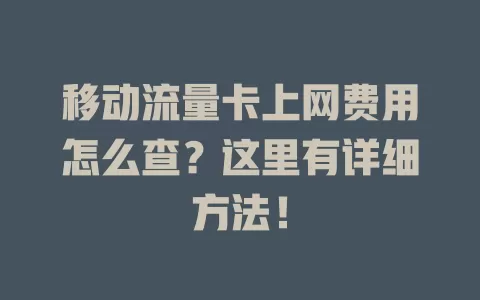 移动流量卡上网费用怎么查？这里有详细方法！