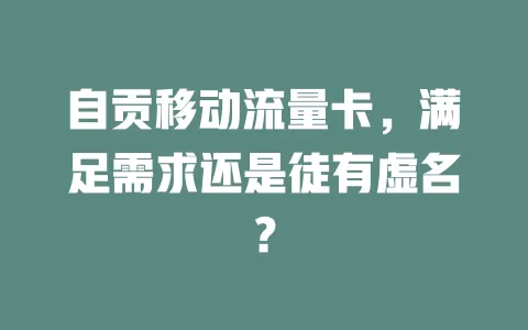 自贡移动流量卡，满足需求还是徒有虚名？