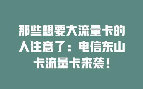那些想要大流量卡的人注意了：电信东山卡流量卡来袭！