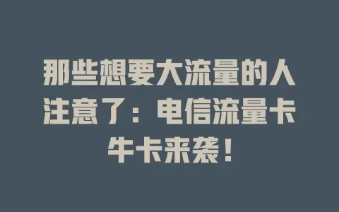 那些想要大流量的人注意了：电信流量卡牛卡来袭！
