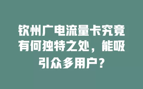 钦州广电流量卡究竟有何独特之处，能吸引众多用户？