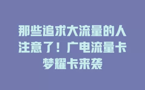那些追求大流量的人注意了！广电流量卡梦耀卡来袭