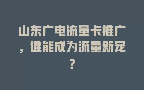山东广电流量卡推广，谁能成为流量新宠？