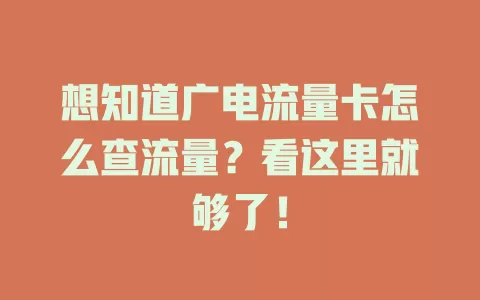 想知道广电流量卡怎么查流量？看这里就够了！
