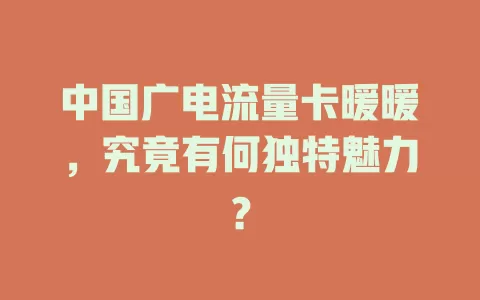 中国广电流量卡暖暖，究竟有何独特魅力？