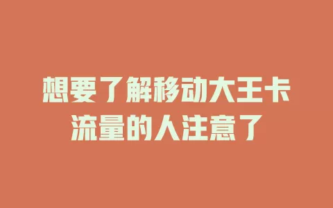 想要了解移动大王卡流量的人注意了