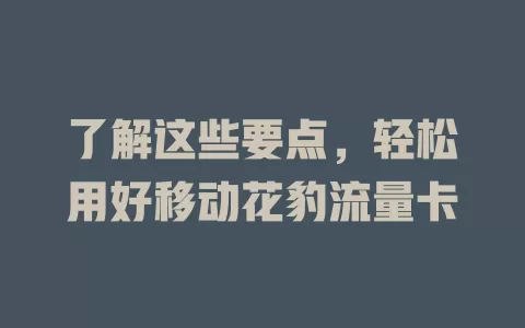 了解这些要点，轻松用好移动花豹流量卡