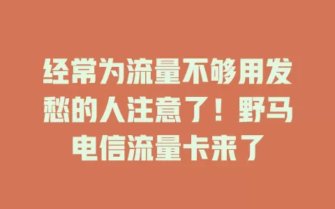 经常为流量不够用发愁的人注意了！野马电信流量卡来了