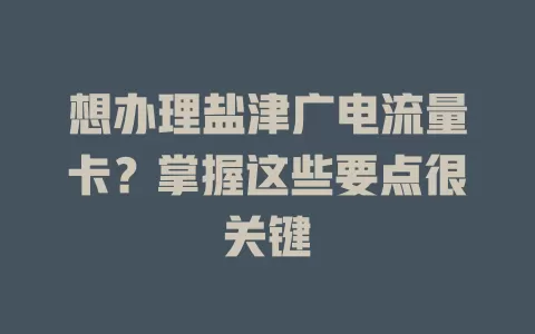 想办理盐津广电流量卡？掌握这些要点很关键