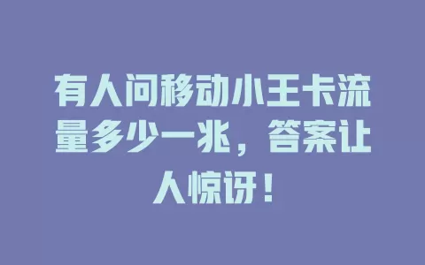 有人问移动小王卡流量多少一兆，答案让人惊讶！