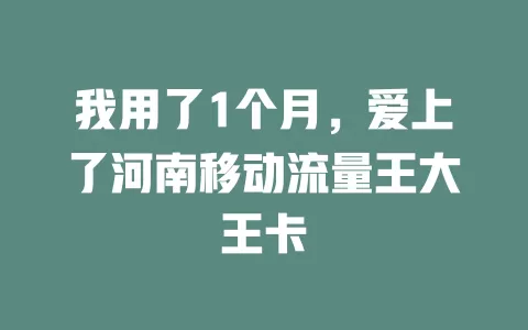 我用了1个月，爱上了河南移动流量王大王卡