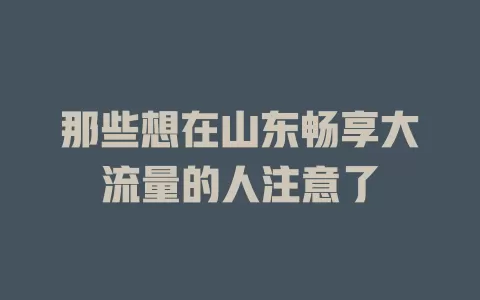 那些想在山东畅享大流量的人注意了