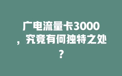 广电流量卡3000，究竟有何独特之处？