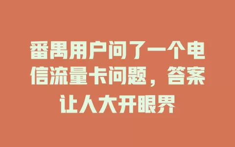 番禺用户问了一个电信流量卡问题，答案让人大开眼界