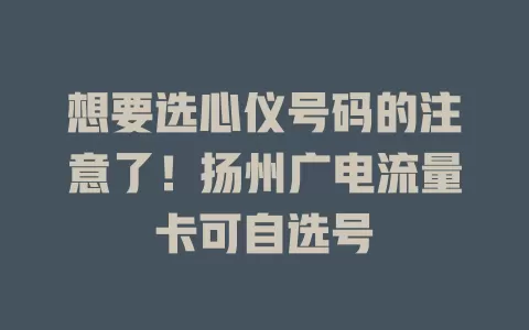 想要选心仪号码的注意了！扬州广电流量卡可自选号