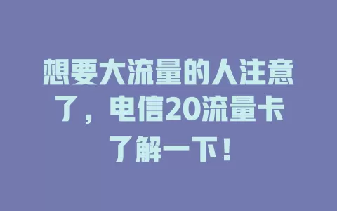 想要大流量的人注意了，电信20流量卡了解一下！