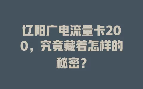 辽阳广电流量卡200，究竟藏着怎样的秘密？