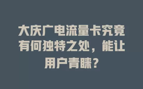 大庆广电流量卡究竟有何独特之处，能让用户青睐？