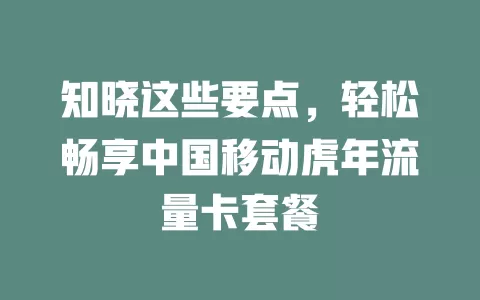知晓这些要点，轻松畅享中国移动虎年流量卡套餐