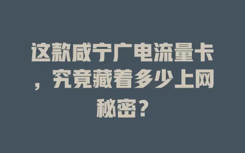 这款咸宁广电流量卡，究竟藏着多少上网秘密？