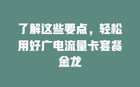 了解这些要点，轻松用好广电流量卡套餐金龙