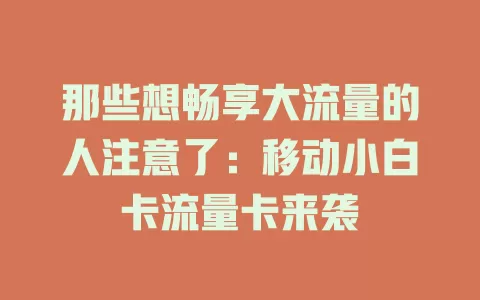那些想畅享大流量的人注意了：移动小白卡流量卡来袭