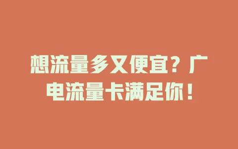 想流量多又便宜？广电流量卡满足你！
