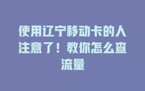 使用辽宁移动卡的人注意了！教你怎么查流量