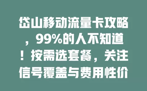 岱山移动流量卡攻略，99%的人不知道！按需选套餐，关注信号覆盖与费用性价比，多方面考量，选出适合自己的卡畅享网络生活