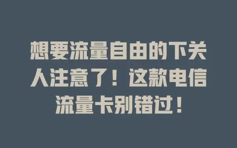 想要流量自由的下关人注意了！这款电信流量卡别错过！