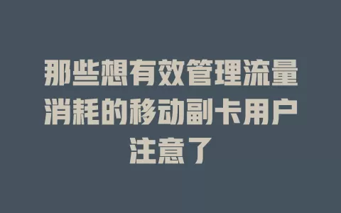 那些想有效管理流量消耗的移动副卡用户注意了