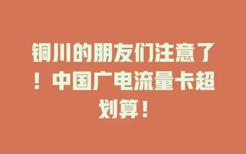 铜川的朋友们注意了！中国广电流量卡超划算！