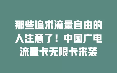 那些追求流量自由的人注意了！中国广电流量卡无限卡来袭