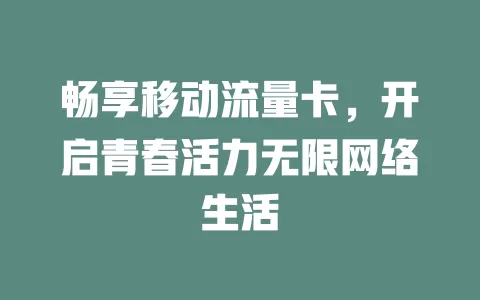 畅享移动流量卡，开启青春活力无限网络生活