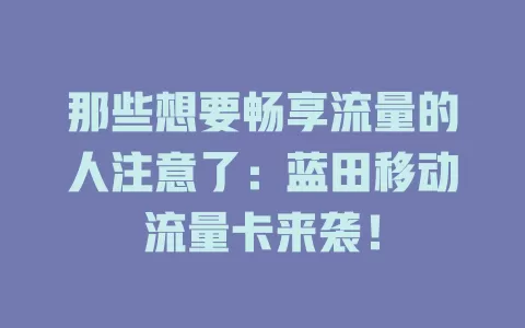那些想要畅享流量的人注意了：蓝田移动流量卡来袭！