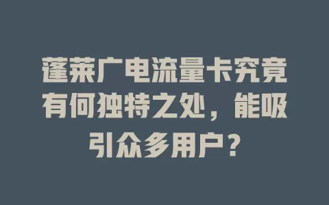 蓬莱广电流量卡究竟有何独特之处，能吸引众多用户？
