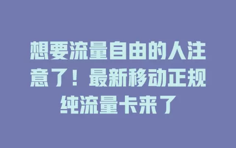 想要流量自由的人注意了！最新移动正规纯流量卡来了