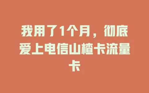 我用了1个月，彻底爱上电信山楂卡流量卡