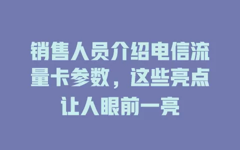销售人员介绍电信流量卡参数，这些亮点让人眼前一亮