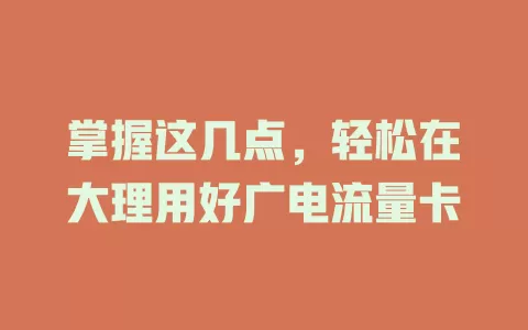 掌握这几点，轻松在大理用好广电流量卡