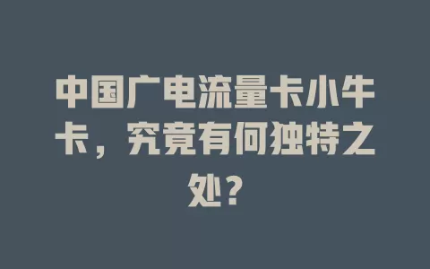 中国广电流量卡小牛卡，究竟有何独特之处？