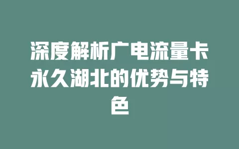 深度解析广电流量卡永久湖北的优势与特色