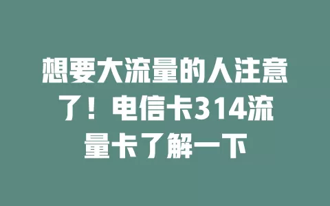 想要大流量的人注意了！电信卡314流量卡了解一下