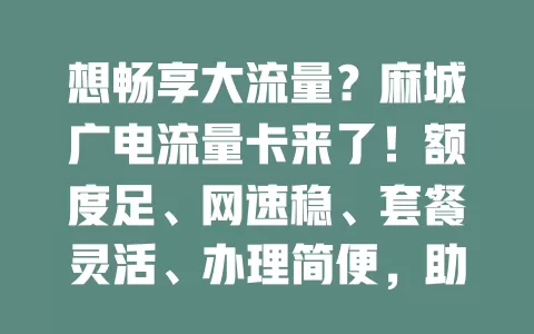 想畅享大流量？麻城广电流量卡来了！额度足、网速稳、套餐灵活、办理简便，助你畅游网络，告别流量困扰