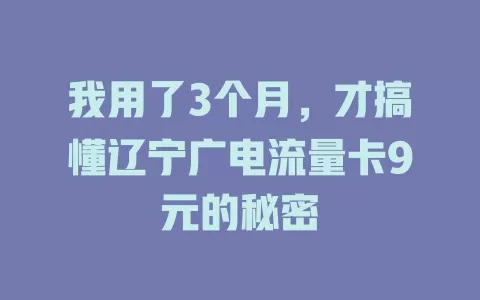 我用了3个月，才搞懂辽宁广电流量卡9元的秘密