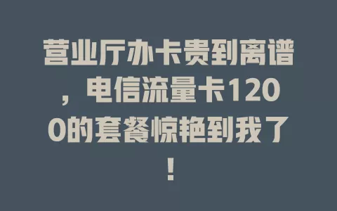营业厅办卡贵到离谱，电信流量卡1200的套餐惊艳到我了！