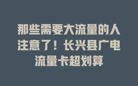 那些需要大流量的人注意了！长兴县广电流量卡超划算