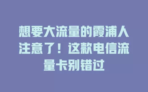 想要大流量的霞浦人注意了！这款电信流量卡别错过